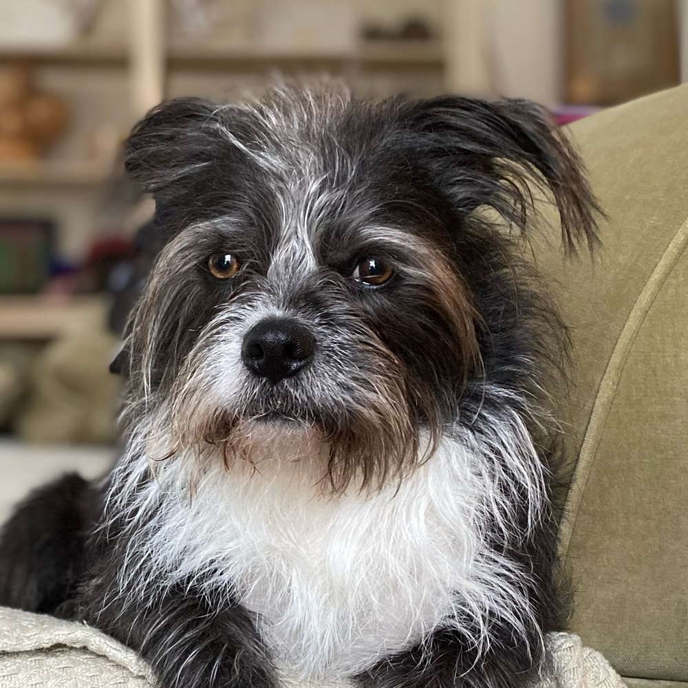 Meet your Posher, Alexandra